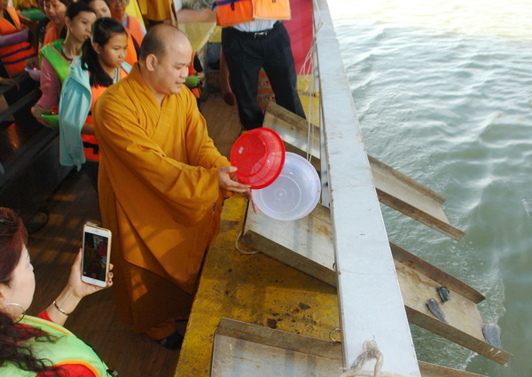 Tu sĩ Thích Giác Chỉ thả cá trê phóng sinh xuống sông Sài Gòn