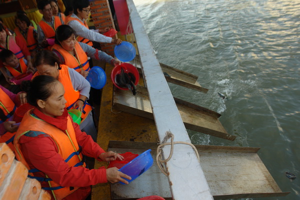 Mỗi chuyến có hàng trăm du khách tham gia phóng sinh cá