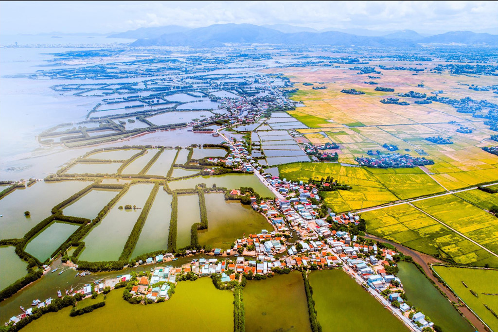 Bình Định