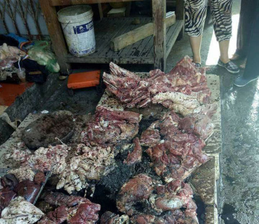 Hai phụ nữ hắt chất bẩn vào thịt lợn ở Hải Phòng lĩnh án