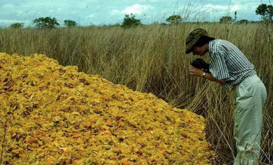 bảo tồn thiên nhiên