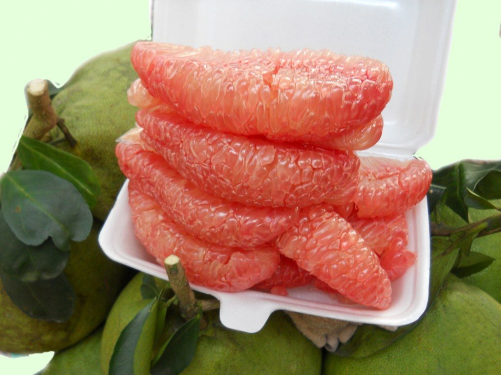 bệnh tim