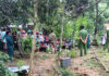 Nổ lớn ở Khánh Hòa: 6 người tử vong trong đó có 3 trẻ em