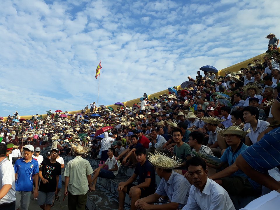 chọi trâu Đồ Sơn 2017