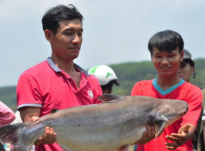 chân đập thủy điện