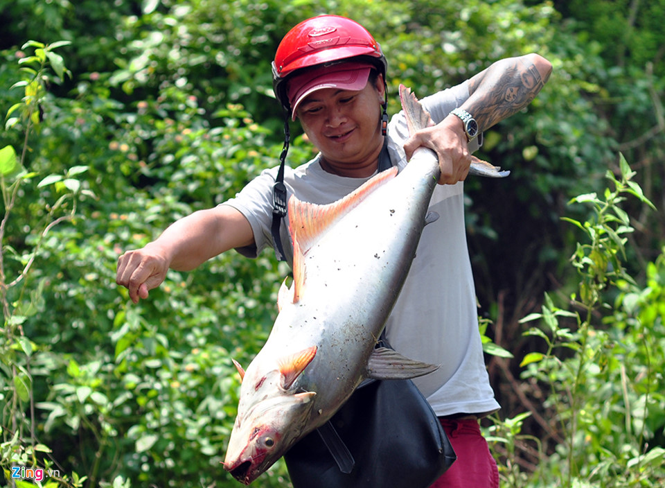 chân đập thủy điện