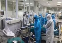 82 bệnh nhân Covid-19 tiên lượng rất nặng, 9 trường hợp can thiệp ECMO