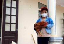 Bé 8 tuổi ôm một con gà, bao gạo, bí đỏ đến ủng hộ khu cách ly