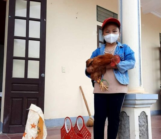 Bé 8 tuổi ôm một con gà, bao gạo, bí đỏ đến ủng hộ khu cách ly