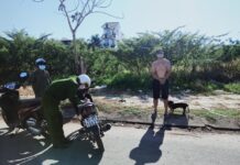 Dắt chó đi dạo, người đàn ông bị đề nghị phạt 7,5 triệu đồng