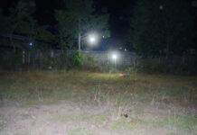 Đi chăn bò, phát hiện th.i th.ể phụ nữ đã phân h.ủy