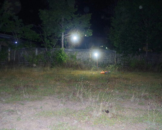 Đi chăn bò, phát hiện th.i th.ể phụ nữ đã phân h.ủy