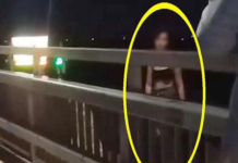 Thiếu nữ 15 tuổi gieo mình từ cầu Nhật Tân xuống sông Hồng rồi tự bơi vào bờ