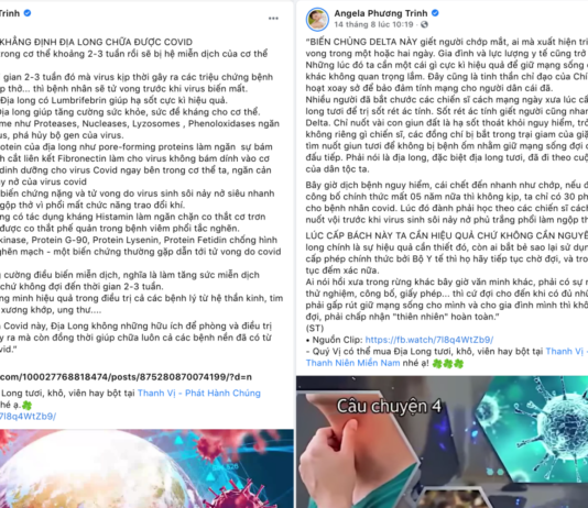 Sử dụng giun đất điều trị COVID-19 như fanpage Angela Phương Trinh quảng cáo, đúng không?