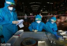 TPHCM: Biểu đồ F0 dần đi ngang sau hơn 2 tháng giãn cách các cấp độ