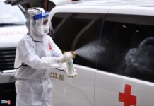 Xem tai nạn giao thông, 51 người trở thành F1