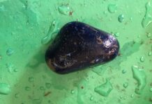 Bắt bị can có lệnh truy nã đặc biệt vì lừa bán cục đất sét lấy tiền tỷ