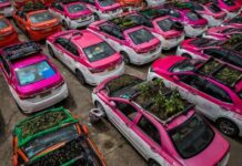 Ế khách vì Covid-19, hàng ngàn xe taxi được sử dụng để… trồng rau