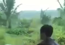 Một nam sinh đ.á.nh đ.ập nữ sinh dưới mương nước dã man