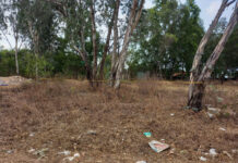 Sự thật đáng sợ về gã đàn ông s.át hại bé gái 6 tuổi ở Bà Rịa – Vũng Tàu