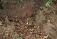 Bắc Giang: Chuyện về t.ử t.ù đầu tiên bị thi hành án tiêm thuốc độc và tội ác kinh hoàng trong rừng sâu