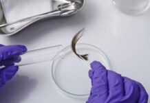 Diễn biến bất ngờ vụ đi chữa hiếm muộn, người phụ nữ có 2 con với thầy lang