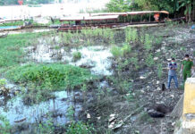 Phê m.a tú.y, đổ nước vào miệng làm ch.ế.t cháu bé 7 tháng tuổi