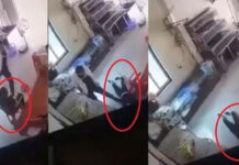 Vụ người phụ nữ bị đá.nh d.ã ma.n ở Hà Nội: Đối tượng h.ành h.ung từng học võ, hiện đã bỏ trốn