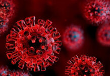 Cơ chế giúp nhiều người gần như miễn nhiễm SARS-CoV-2: triển vọng về “siêu vắc-xin”