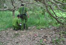 Hành trình lật mặt gã đàn ông có linh hồn “á.c qu.ỷ” s.át h.ại bé gái hơn 10 tuổi trên đồi vắng