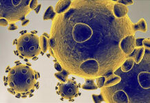 Tại sao nhiều người không mắc COVID-19 dù tiếp xúc với người bệnh?