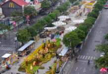 TP HCM “chốt” ngày khai mạc Đường hoa Nguyễn Huệ Tết Nhâm Dần 2022