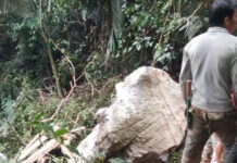 Huy động 100 người vào rừng đưa thi thể người đàn ông bị đá đè ch.ế.t về nhà