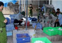 Bí mật giật mình trong Công ty CP Bóng đèn Điện Quang