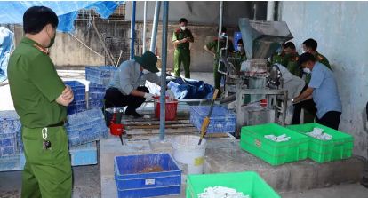 Bí mật giật mình trong Công ty CP Bóng đèn Điện Quang