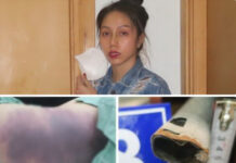 Đề nghị truy tố cha ruột và dì ghẻ b.ạo h.ành bé gái 8 tuổi đến t.ử vo.ng