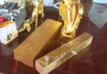 Hai vợ chồng cùng ngồi tù vì l.ừa đ.ảo tiền, vàng của 186 người