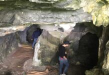 Hành trình vây bắt nghịch tử ch.ém cha t.ử v.ong rồi bỏ trốn trong rừng sâu