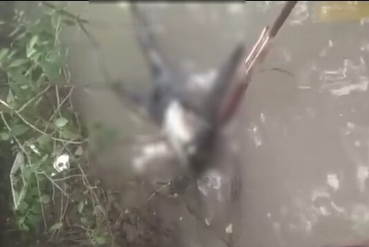 Phát hiện thi thể không đầu, mất 2 bàn tay trôi trên sông ở Cà Mau