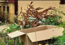 Sự thật về thùng carton chứa bộ đồ sơ sinh bốc mùi hôi thối ở quận 7, TP.HCM