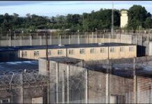 Cuộc tẩu thoát ngoạn mục của 38 tù nhân khỏi nhà tù ‘Mê Cung’