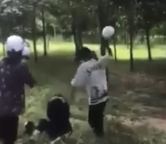 Phẫn nộ nữ sinh bị đ.ánh hội đồng bằng gậy, mũ bảo hiểm ở Đồng Nai