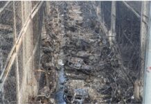 Vụ cháy bãi xe vi phạm của Công an TPHCM: Hơn 2.200 phương tiện bên trong