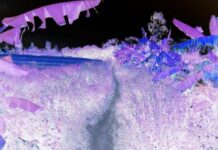 Bí mật trong căn nhà hoang và tội ác ghê rợn của 3 gã trai làng