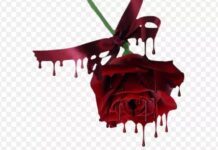 Sự “lãng mạn tàn nhẫn” của kẻ cuồng yêu khi trang trí 99 bông hồng bên thi thể người tình