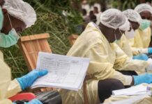 Loại virus gây t.ử vo.ng tới 90% khiến WHO lo lắng