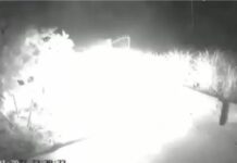 Mang 4 can xăng tới nhà người tình tự thiêu