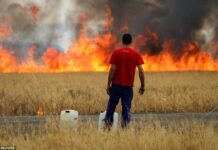 Nắng nóng như tận thế ở Châu Âu, hơn 1.000 người t.ử v.o.ng