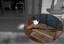 Nghi phạm gây án mạng khiến 4 người thương vong ch.é.m loạn xạ bất cứ thứ gì bắt gặp