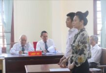 Quyết định giám đốc thẩm vụ giành quyền nuôi con của diễn viên Nhật Kim Anh